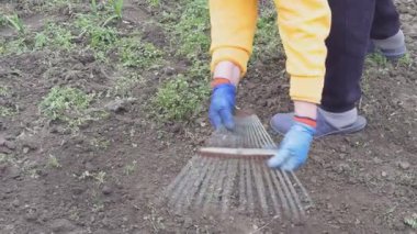 Bir kadın eli bir tırmık tutar, çıplak toprak ve yeşil bitkilerin arka planına karşı topraktan çimleri temizler..