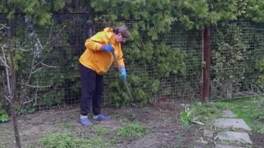 Turuncu kazaklı emekli bir kadın bahçede çalışıyor. Toprağı sürmek için tırmık kullanıyor..