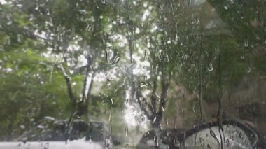 Şiddetli yağmur damlaları bir arabanın camından süzülüyor, dışarıdaki yeşillik manzarasını bulanıklaştırıyor..