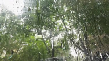 Şiddetli yağmur damlaları pencere camından süzülüyor, arkasındaki yeşillik manzarasını bulanıklaştırıyor..