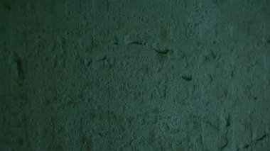 Titreyen ışık ve dokusu olan beton duvar, bir video arkaplanı ya da şablon örtüsü olarak.