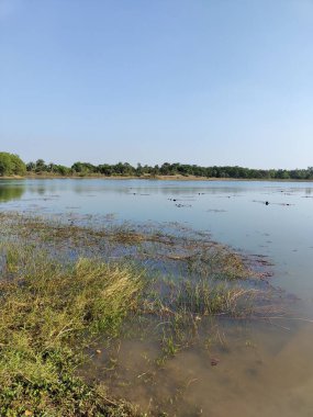 Hindistan 'ın Batı Bengal eyaletinde yer alan ve zengin kültürel mirası ve bereketli yeşilliğiyle tanınan Jhargram' dan bir sahne Chota Nagpur Platosu 'nun pitoresk manzarasının tam ortasına kurulmuştur..