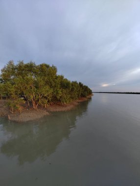 Sundarbans, nesli tükenmekte olan Bengal kaplanı dahil olmak üzere eşsiz ekosistemi ve kıyı ekolojisi ve biyolojik çeşitliliği koruma alanındaki kritik rolü de dahil olmak üzere, UNESCO Dünya Mirası ve dünyanın en büyük mangrov ormanıdır..