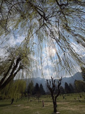 Keşmir 'in güzel manzarası