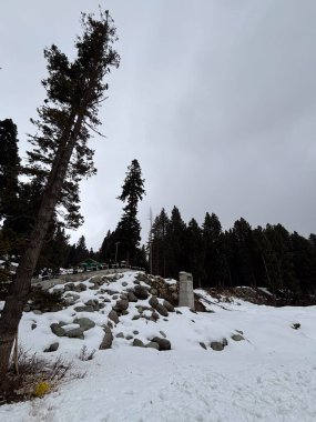 Keşmir 'in güzel manzarası