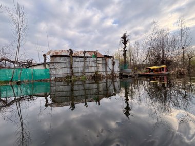 Srinagar 'daki güzel dal gölü