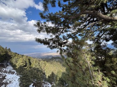 Güzel Gulmarg vadisi karla kaplı ve yüksek dağlarla çevrili.