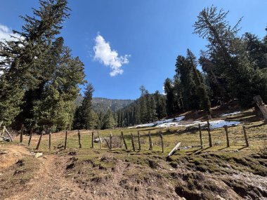 Etrafı yeşil çayır ve dağlarla çevrili Baisaran Pahalgam Kaşmir Vadisi 'nin güzel manzarası.