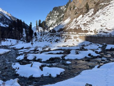 Pahalgam Vadisi Chandanwadi 'nin güzel karlı manzarası 