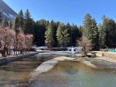 Kaşmir Pahalgam Vadisi 'nin güzel manzarası 