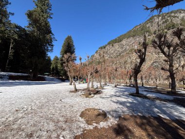 Kaşmir Pahalgam Vadisi 'nin güzel manzarası 