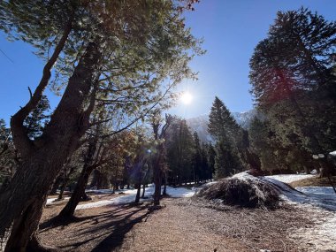 Kaşmir Pahalgam Vadisi 'nin güzel manzarası 