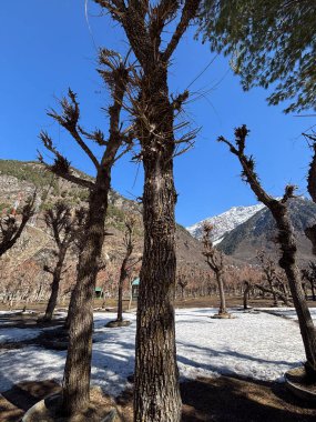 Kaşmir Pahalgam Vadisi 'nin güzel manzarası 