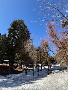 Kaşmir Pahalgam Vadisi 'nin güzel manzarası 