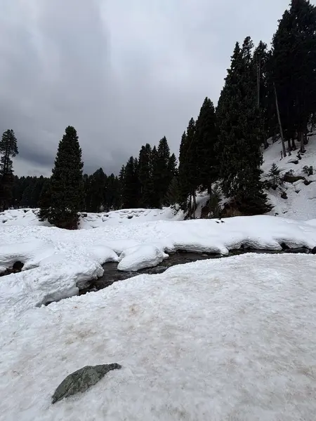 Keşmir 'in güzel manzarası