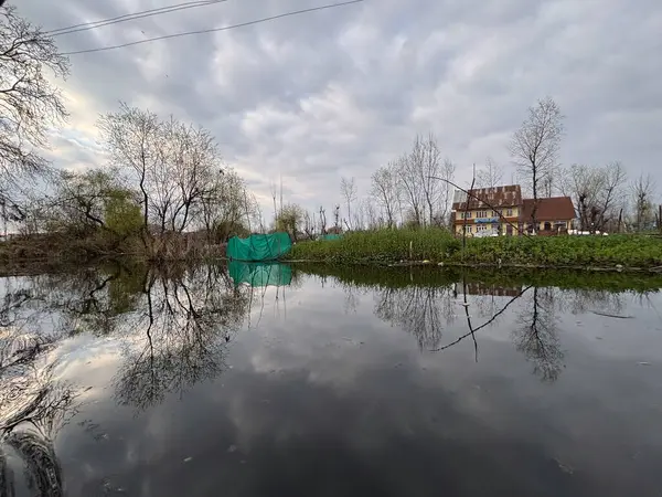 Srinagar 'daki güzel dal gölü