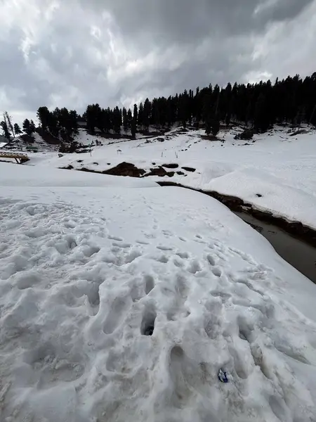 Güzel Gulmarg vadisi karla kaplı ve yüksek dağlarla çevrili.