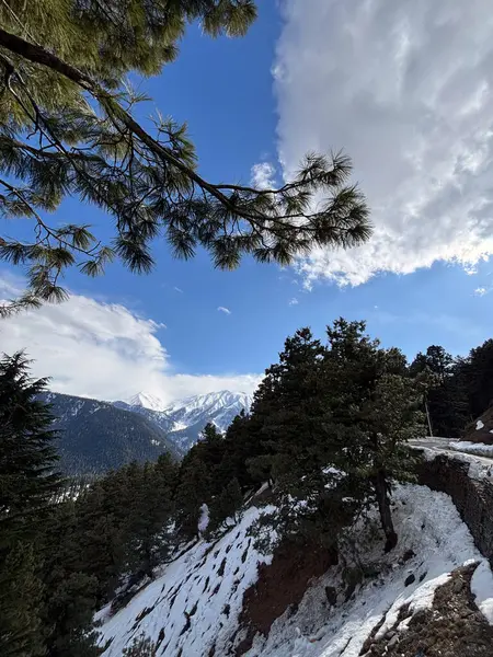 Güzel Gulmarg vadisi karla kaplı ve yüksek dağlarla çevrili.