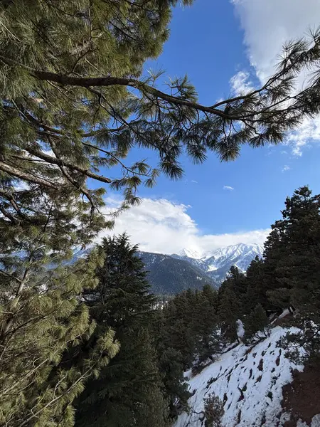 Güzel Gulmarg vadisi karla kaplı ve yüksek dağlarla çevrili.