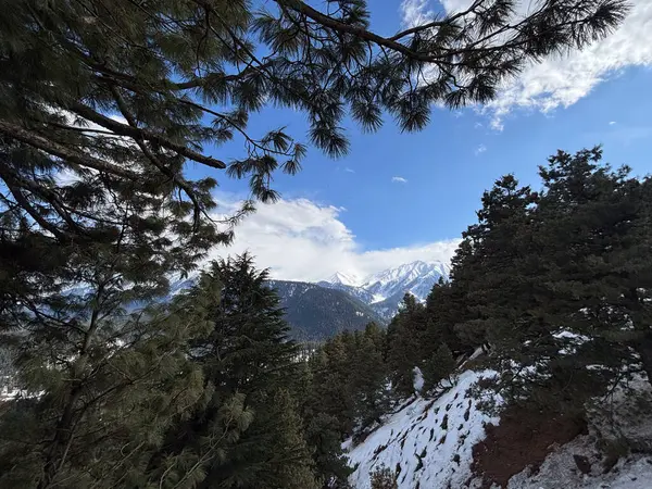 Güzel Gulmarg vadisi karla kaplı ve yüksek dağlarla çevrili.