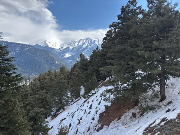 Güzel Gulmarg vadisi karla kaplı ve yüksek dağlarla çevrili.