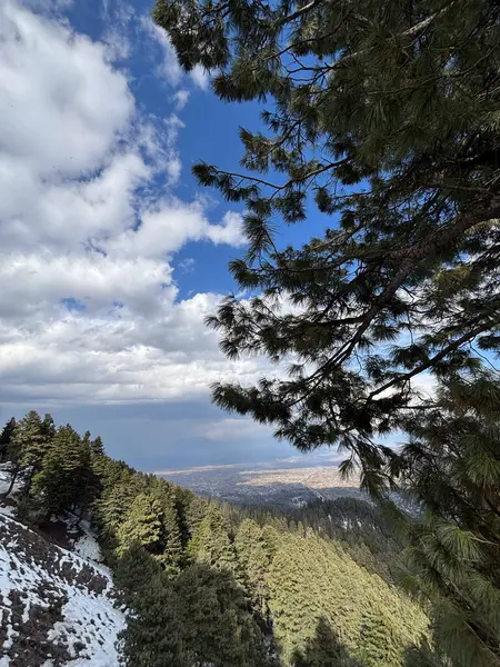 Güzel Gulmarg vadisi karla kaplı ve yüksek dağlarla çevrili.