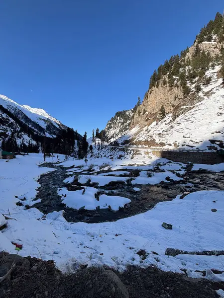 Pahalgam Vadisi Chandanwadi 'nin güzel karlı manzarası 