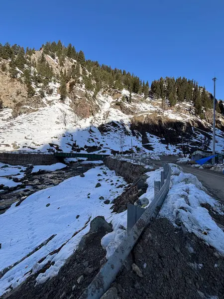 Pahalgam Vadisi Chandanwadi 'nin güzel karlı manzarası 
