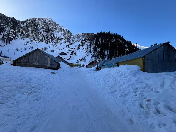 Pahalgam Vadisi Chandanwadi 'nin güzel karlı manzarası 