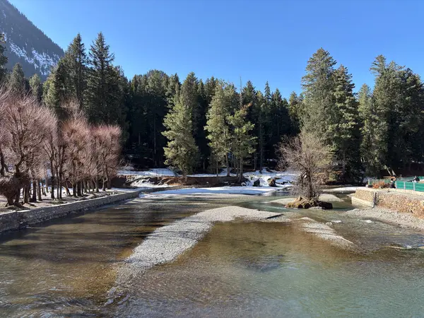 Kaşmir Pahalgam Vadisi 'nin güzel manzarası 