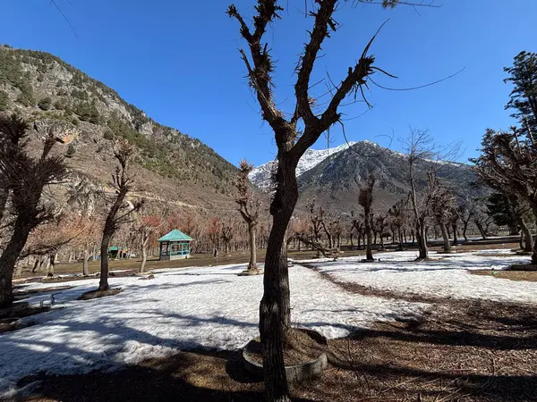 Kaşmir Pahalgam Vadisi 'nin güzel manzarası 
