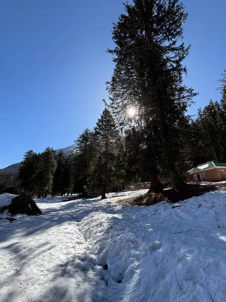 Kaşmir Pahalgam Vadisi 'nin güzel manzarası 