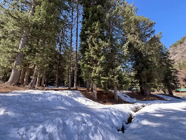 Kaşmir Pahalgam Vadisi 'nin güzel manzarası 