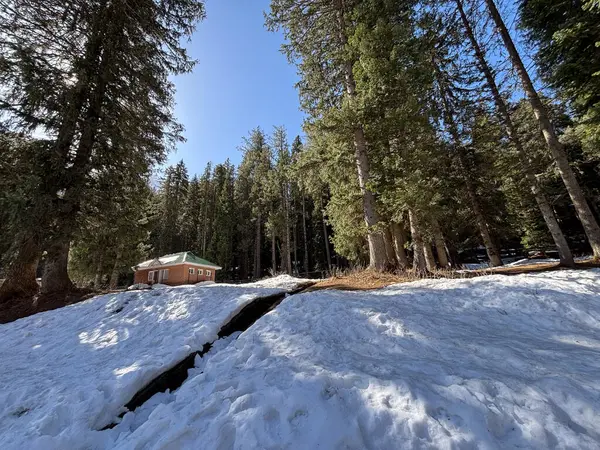 Kaşmir Pahalgam Vadisi 'nin güzel manzarası 