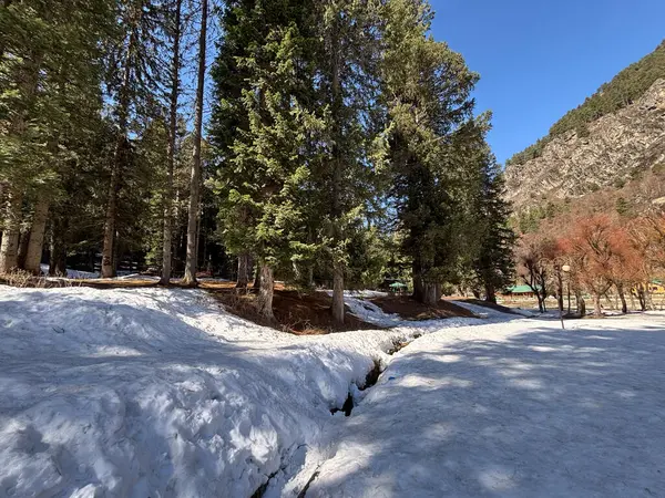 Kaşmir Pahalgam Vadisi 'nin güzel manzarası 