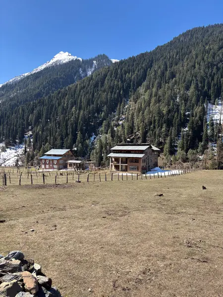 Kaşmir Pahalgam Vadisi 'nin güzel manzarası 