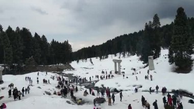 Kashmir 'in karlı dağlarla kaplı vadisi ve orman alanıyla güzel bir hava manzarası.