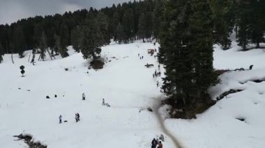 Kashmir 'in karlı dağlarla kaplı vadisi ve orman alanıyla güzel bir hava manzarası.