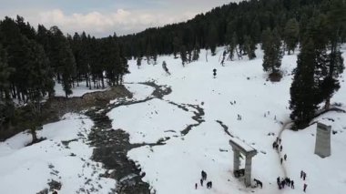 Kashmir 'in karlı dağlarla kaplı vadisi ve orman alanıyla güzel bir hava manzarası.