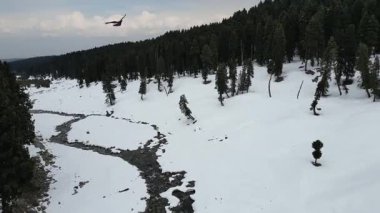Kashmir 'in karlı dağlarla kaplı vadisi ve orman alanıyla güzel bir hava manzarası.