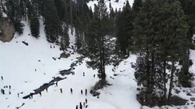 Kashmir 'in karlı dağlarla kaplı vadisi ve orman alanıyla güzel bir hava manzarası.