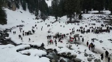 Kashmir 'in karlı dağlarla kaplı vadisi ve orman alanıyla güzel bir hava manzarası.