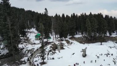 Kashmir 'in karlı dağlarla kaplı vadisi ve orman alanıyla güzel bir hava manzarası.