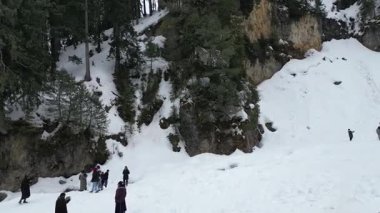 Kashmir 'in karlı dağlarla kaplı vadisi ve orman alanıyla güzel bir hava manzarası.