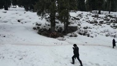 Kashmir 'in karlı dağlarla kaplı vadisi ve orman alanıyla güzel bir hava manzarası.