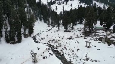 Kashmir 'in karlı dağlarla kaplı vadisi ve orman alanıyla güzel bir hava manzarası.