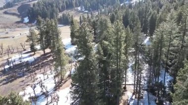 Pahalgam Kaşmir 'deki Hazan Vadisi' nin güzel manzarası. Etrafı orman ve dağlarla çevrili.