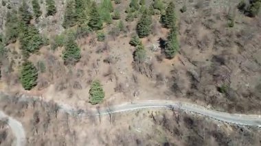 Pahalgam Kaşmir 'deki Hazan Vadisi' nin güzel manzarası. Etrafı orman ve dağlarla çevrili.