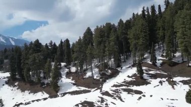 Güzel Gulmarg kaşmir vadisi. Etrafı kar ve dağlarla çevrili.