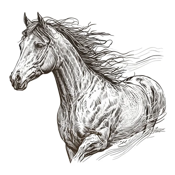 Simples Desenho Uma Cabeça Cavalo Isolado Fundo Preto Ilustração Vetorial —  Vetores de Stock